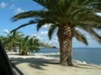 bastia.jpg (68,648 bytes)